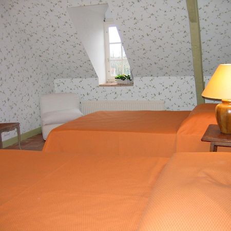 Chateau De Vauloge Fercé-sur-Sarthe Kamer foto