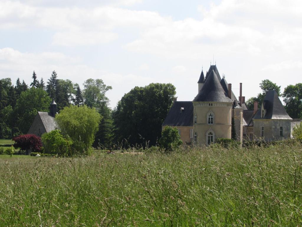 Chateau De Vauloge Fercé-sur-Sarthe Buitenkant foto