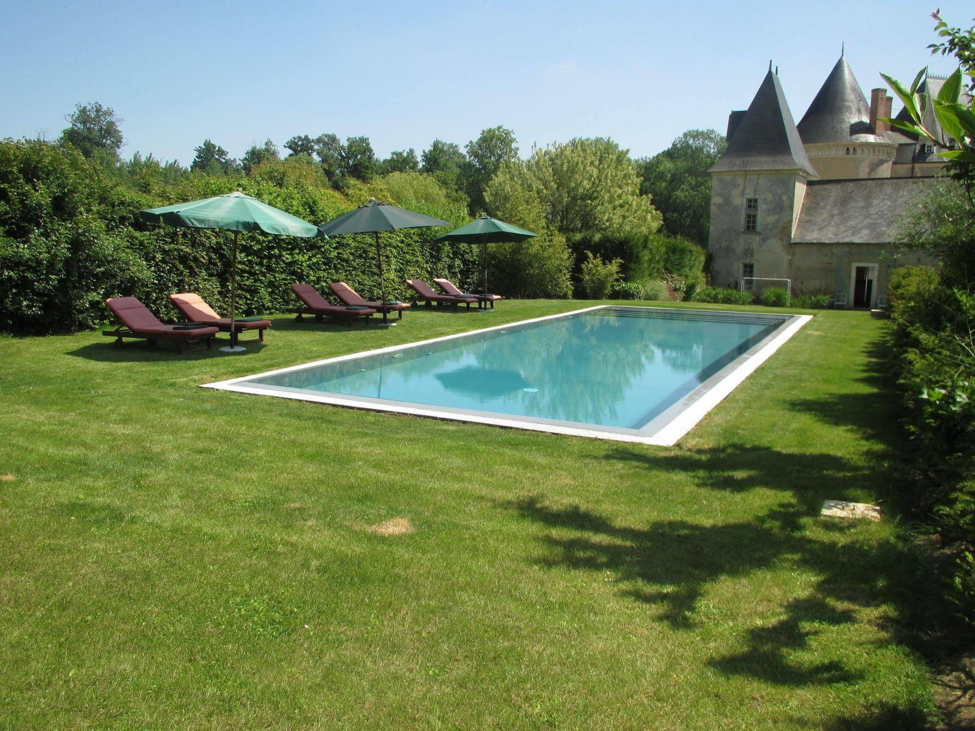 Chateau De Vauloge Fercé-sur-Sarthe Buitenkant foto