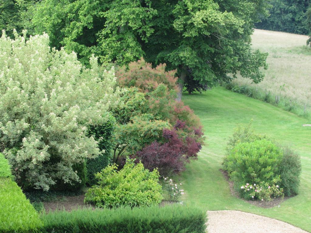 Chateau De Vauloge Fercé-sur-Sarthe Buitenkant foto