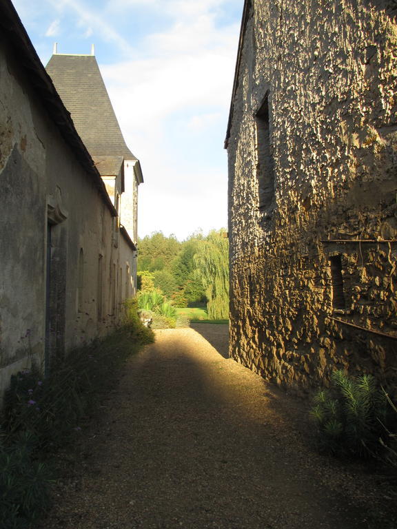 Chateau De Vauloge Fercé-sur-Sarthe Buitenkant foto